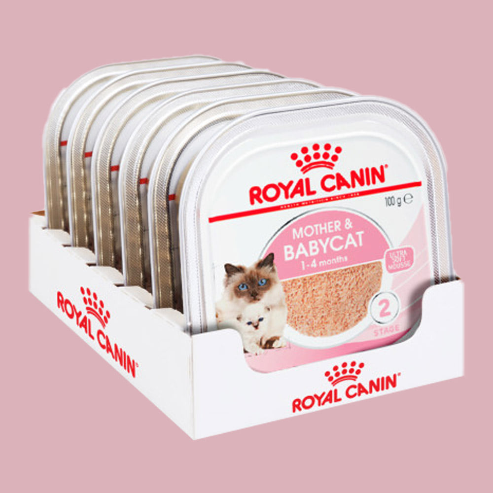 로얄캐닌 아기고양이 습식사료 주식캔 마더앤베이비캣 캔 100g x 6개