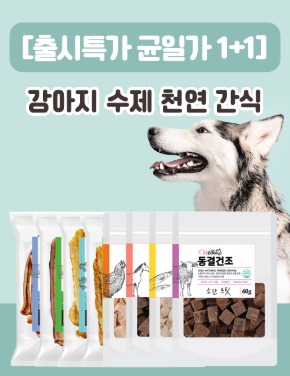 [출시특가 1+1] 강아지 수제 천연 간식 20종